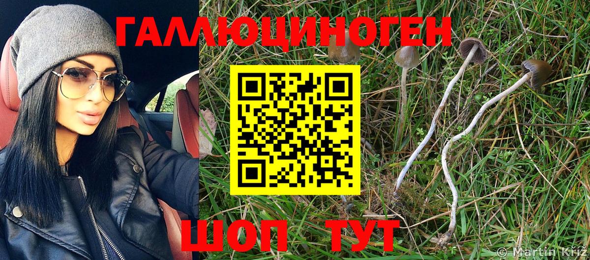Псилоцибиновые грибы Psilocybe  Вход с VPN  Гай  Галлюциногенные грибы Cubensis 
