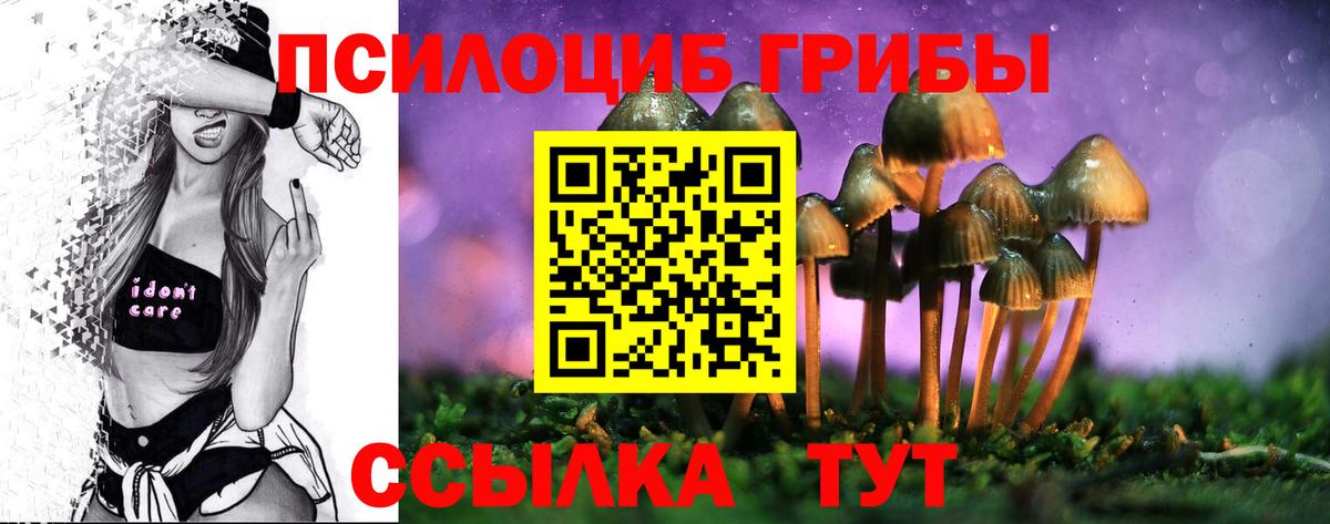 Галлюциногенные грибы ЛСД Гай